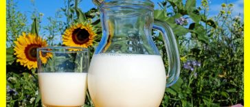 milk