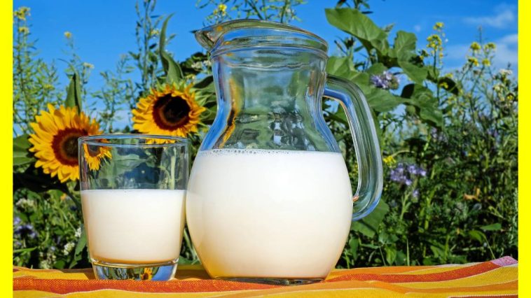 milk