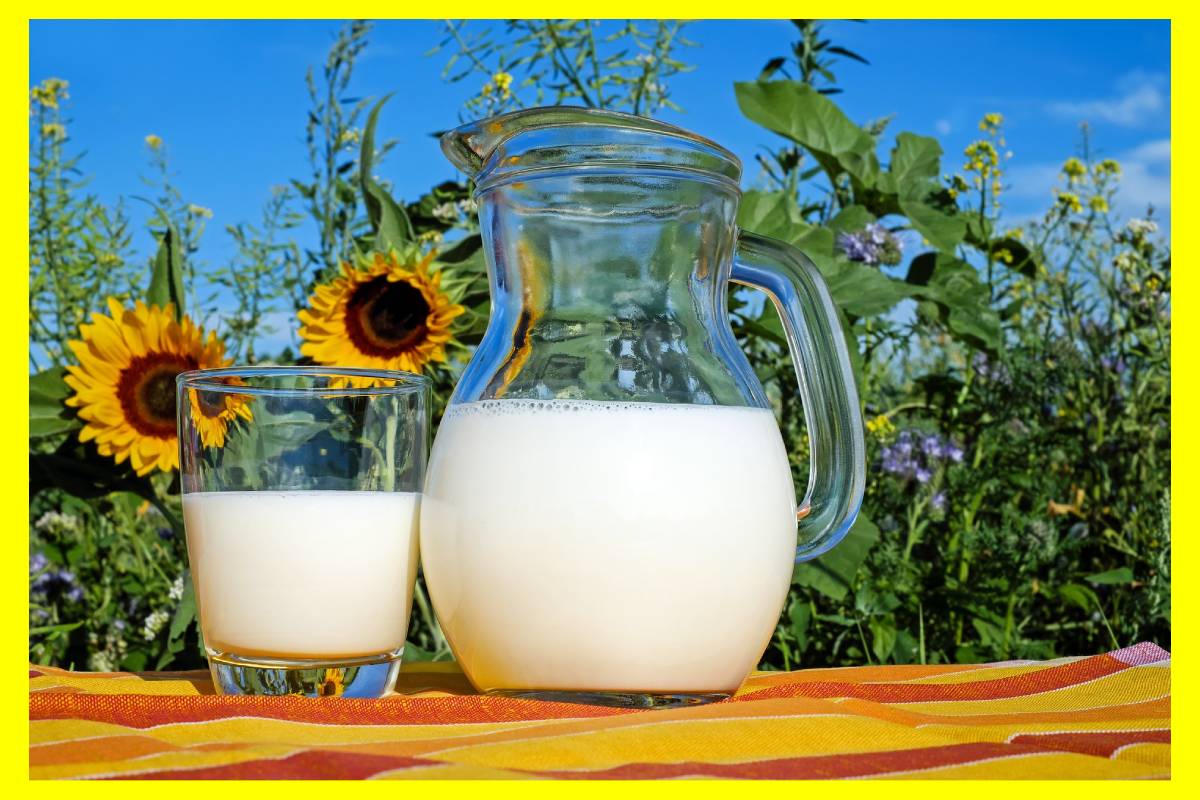 milk
