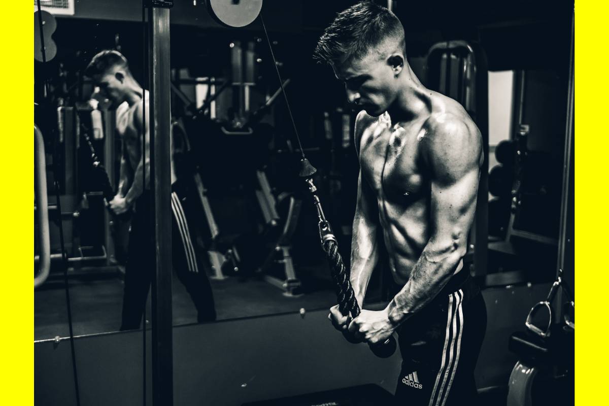 Home Gym Equipment